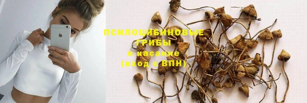 apvp Абинск