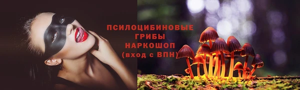 соль ск Абдулино